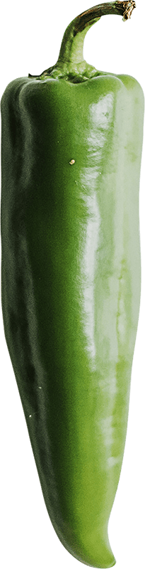 Farm-to-table-67