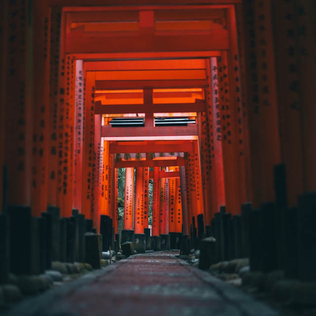 andrea-de-santis-KF52HaIDtyM-unsplash