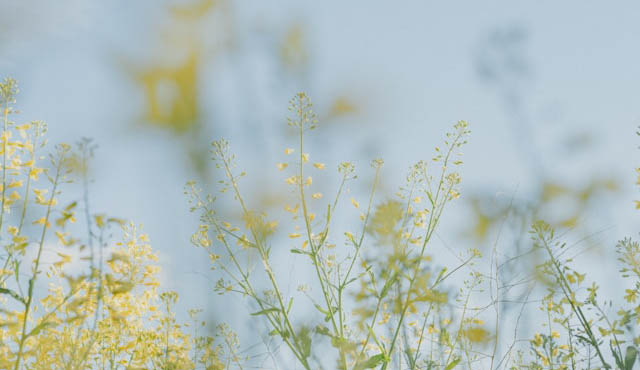 annie-spratt-VfXZg_-8f6A-unsplash