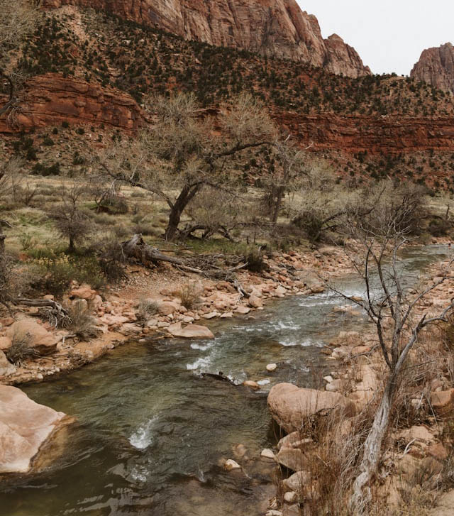 blaire-harmon-HkG8cOpvUkU-unsplash