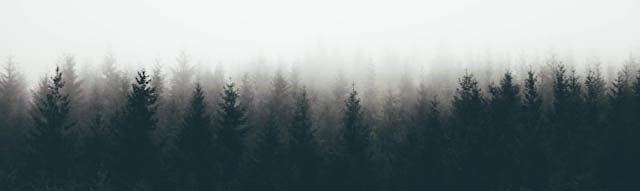 clement-m-h7vKkZNNThE-unsplash