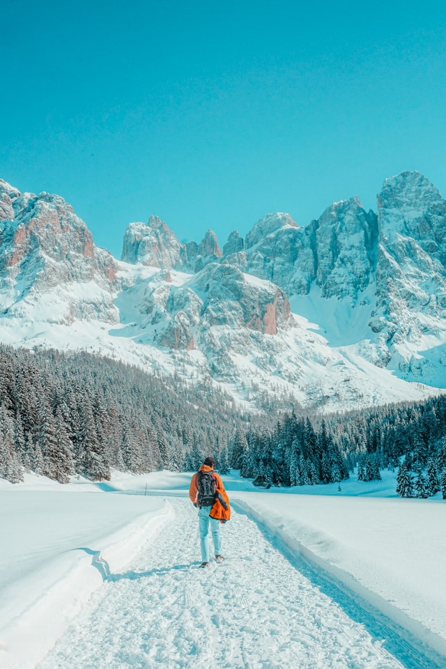 cristina-gottardi-KX_214Qr7Ko-unsplash