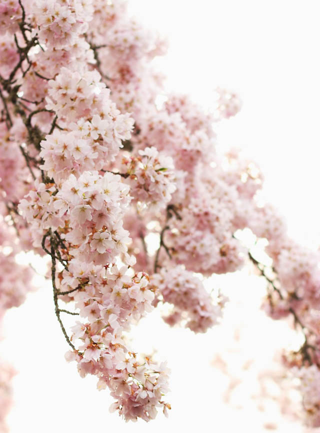 elyssa-fahndrich-MF16lGb95WY-unsplash