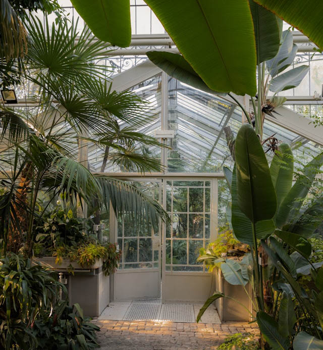 jovan-vasiljevic-D9SD5wciKtU-unsplash