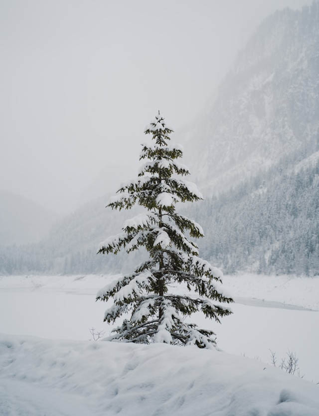 kirsten-frank-7LDcvZbEPQs-unsplash