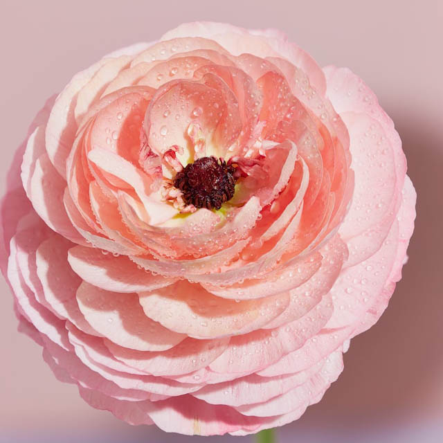 micheile-henderson-KUbt9qYUmxw-unsplash