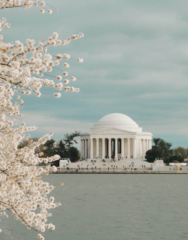 nikunj-singh-jCjiVCGc2Ik-unsplash