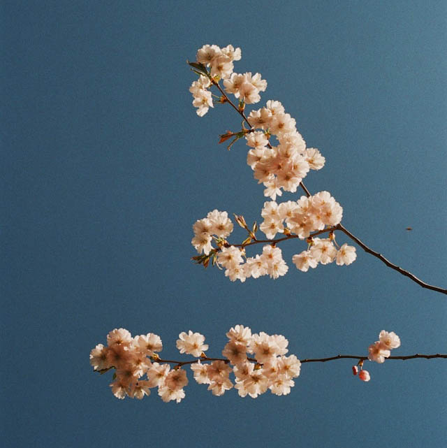 olegs-jonins-c5c2d84cjK8-unsplash