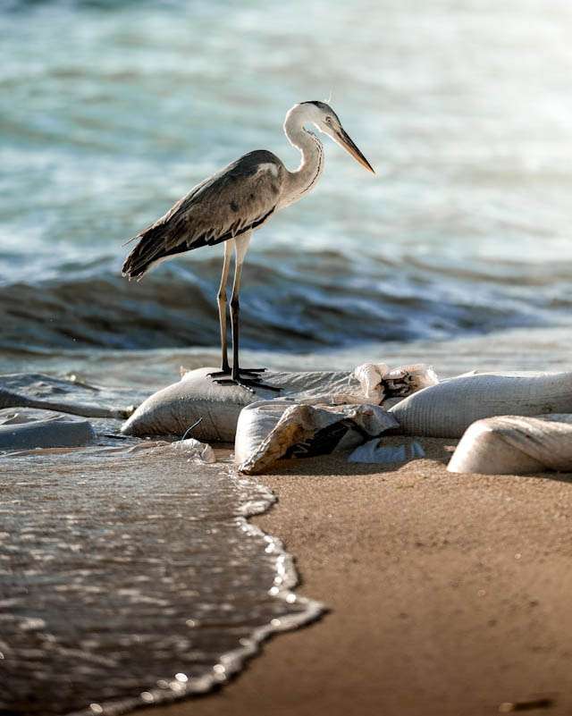 soekarno-omar-TkNwKbKQNbg-unsplash